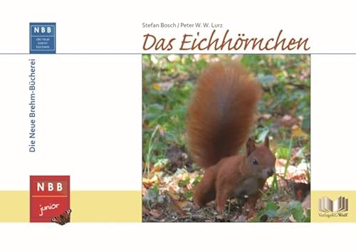 9783894321406: Das Eichhrnchen: 1