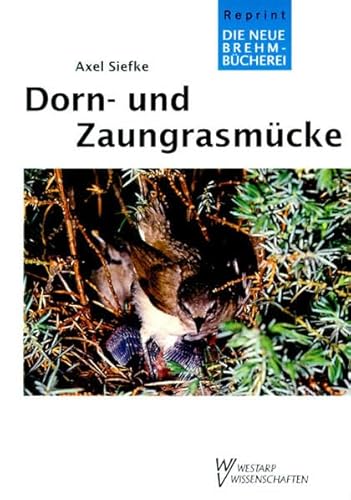 9783894322007: DORN - U. ZAUNGRASMCKE (German Edition)