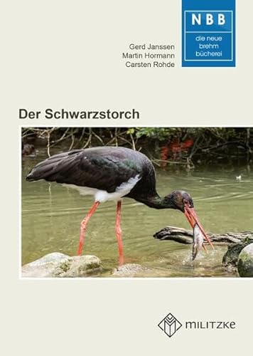 Stock image for Der Schwarzstorch Ciconia nigra for sale by Buchpark