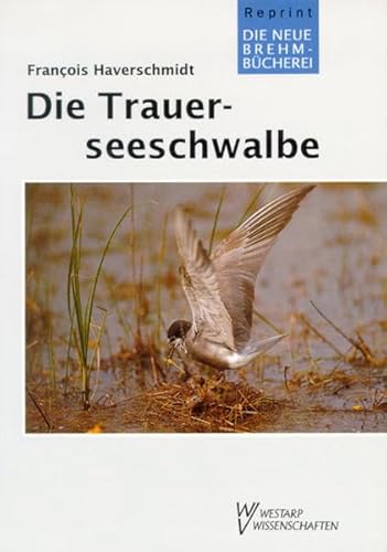 Stock image for Die Trauerseeschwalbe. Chlidonias niger. for sale by Antiquariat Bcherkeller