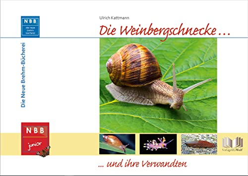 Beispielbild fr Die Weinbergschnecke und ihre Verwandten -Language: german zum Verkauf von GreatBookPrices
