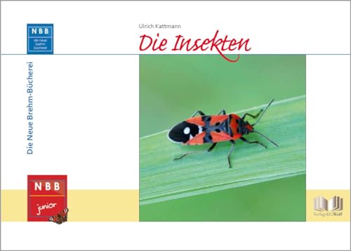 Beispielbild fr Die Insekten -Language: german zum Verkauf von GreatBookPrices