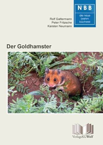 Stock image for Der Goldhamster: Mesocricetus auratus for sale by Chiron Media