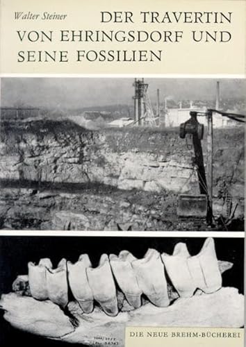 DER TRAVERTIN VON EHRINGSDORF UND SEINE FOSSILIEN - Steiner, Walter