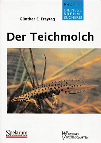 Beispielbild fr Der Teichmolch - Lissotriton vulgaris zum Verkauf von medimops