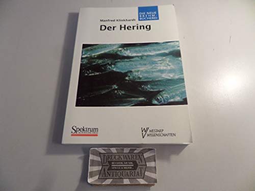 Der Hering (Clupea harengus).