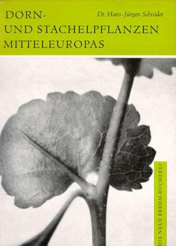 Beispielbild fr Dorn- und Stachelpflanzen Mitteleuropas zum Verkauf von Buchpark