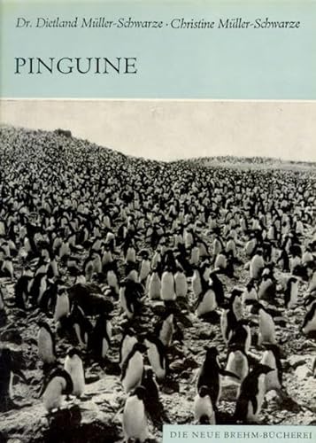 Beispielbild fr Pinguine: Sphenisciformes, Spheniscidae zum Verkauf von medimops