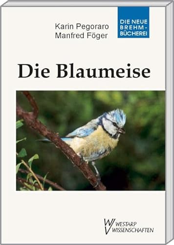 Die Blaumeise : Parus caeruleus - Manfred Föger