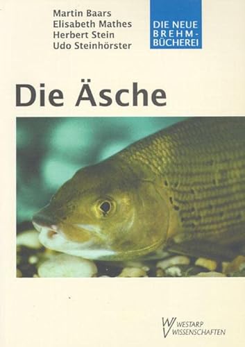 Die Äsche - Konrad Baars