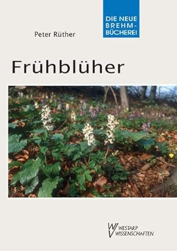 Frühblüher - Peter Rüther