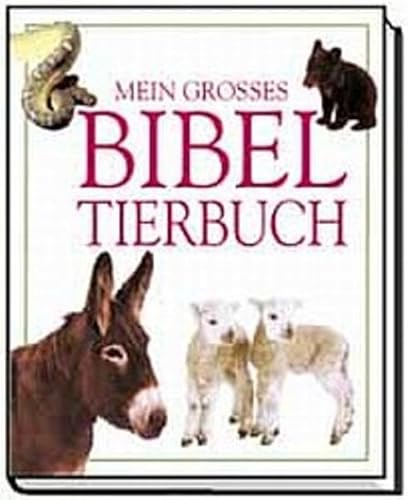 Stock image for Mein groes Bibel- Tierbuch for sale by medimops