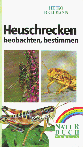 Beispielbild fr Heuschrecken. Beobachten - Bestimmen [Gebundene Ausgabe] Heuschrecke Heiko Bellmann Heuschreckenbestimmung Lebensraum Grashpfer Ernhrung Gesang Paarung Eiablage Jugendentwicklung Hutung Feinde Gefhrdung Schutz Heuschrecken zum Verkauf von BUCHSERVICE / ANTIQUARIAT Lars Lutzer