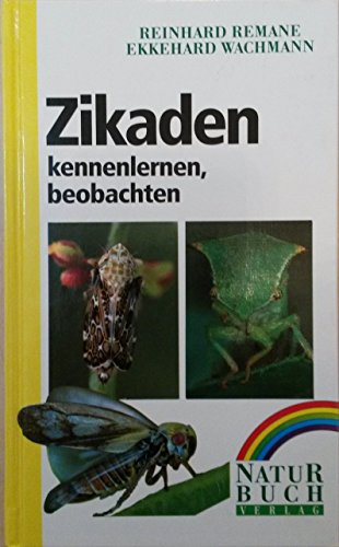 Beispielbild fr Zikaden kennenlernen, beobachten [Gebundene Ausgabe] Moorzikaden Arbeitskreis Zikade Mitteleuropas Insektenarten cicada Auchenorrhyncha Cicadina Zirpen Insekten Schnabelkerfen Hemiptera Rundkopfzikaden Cicadomorpha Spitzkopfzikaden Fulgoromorpha 3er-Check Bestimmungssystem Artens identifizieren Insektenfhrer Insektengattungen Insektenfamilien Krperteile Anordnung Form Proportionen Krperanhnge Vorkommen Lebensweise Schwebfliegen Hainschwebfliege Langbauchschwebfliege Biologie kosysteme Bestimmungrtabell europische Familien Wirtspflanzen Reinhard Remane (Autor), Ekkehard Wachmann zum Verkauf von BUCHSERVICE / ANTIQUARIAT Lars Lutzer