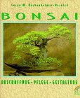 Stock image for Bonsai. Anschaffung, Pflege, Gestaltung for sale by medimops