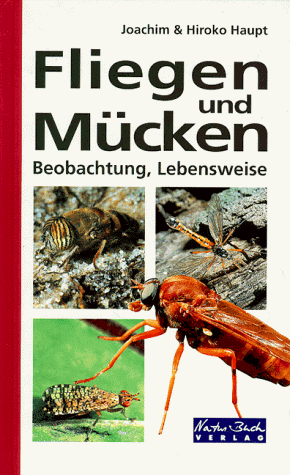 Beispielbild fr Fliegen und Mcken Beobachtung, Lebensweise [Gebundene Ausgabe] Zweiflgler Familien Bestimmungsfhrer Schwebfliegen Hautflgler Entomology Diptera Dipteren Entomologie Insekten Tierordnung Blutsauger Aasfresser Zoologie kologie Fauna Exkursion Bestimmungsschlssel Dipterenfamilien Krperbau Bestimmungsmerkmale Physiologische Leistungen Fortpflanzungsbiologie Gefhrdung Schutz Krankheiten Parasiten der Dipteren forensische Medizin Bestimmungsschlssel Dipterenfamilien Kennzeichen Krperlnge Vorkommen Lebensweise Besonderheiten Exkursion Naturwissenschaften Biologie Lebensrume Nahrungskette biologisches Gleichgewicht Naturfreunde Erkundungen Insektengruppe 250 Arten Artenauswahl Bestimmungsbcher Fliegen und Muecken von Joachim Haupt (Autor), Hiroko Haupt zum Verkauf von BUCHSERVICE / ANTIQUARIAT Lars Lutzer