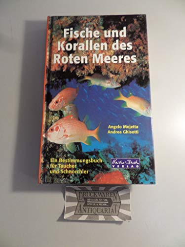 Beispielbild fr Fische und Korallen des Roten Meeres. Ein Bestimmungsbuch fr Taucher und Schnorchler [Gebundene Ausgabe] Rotes Meer Tauchfhrer maritim Rotes Meer Meerestiere Fauna Korallenartem Fischarten Naturfhrer Riff Ozeane Ozean Ozeanographie Weltmeere Oceans Biologie der Meere Angelo Mojetta (Autor), Andrea Ghisotti zum Verkauf von BUCHSERVICE / ANTIQUARIAT Lars Lutzer