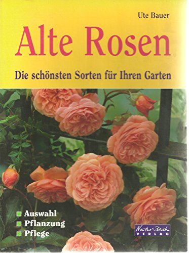 Beispielbild fr Alte Rosen. Die schnsten Sorten fr den Garten. Auswahl, Pflanzung Pflege zum Verkauf von Versandantiquariat Felix Mcke