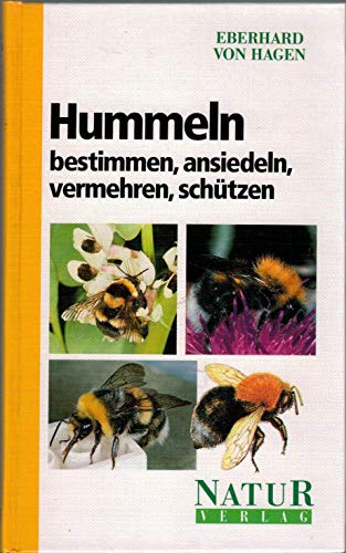 Beispielbild fr Hummeln bestimmen - ansiedeln - vermehren - schtzen [Hardcover] Angaben ber die nur in den Alpen vorkommenden Hummelarten von Ambros Aichhorn, wissenschaftlicher Bestimmungsschlssel von Volker Mauss Entomologie Hummel Insekten Insekt Insektenkunde Insektenforschung Nutztier Nutztiere Waldtiere Wald Wlder Biene Bienen Bienenzucht Bienenknigin Honigbiene Hongibienen zum Verkauf von BUCHSERVICE / ANTIQUARIAT Lars Lutzer