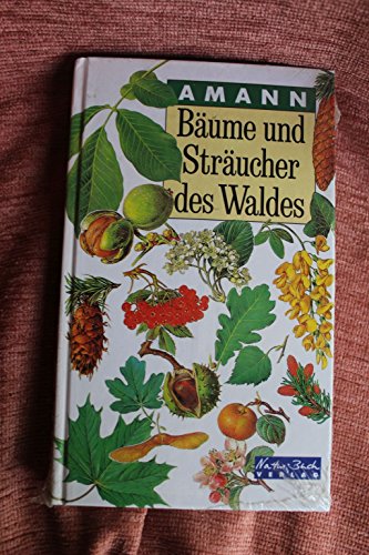 Beispielbild fr Bume und Strucher des Waldes zum Verkauf von medimops