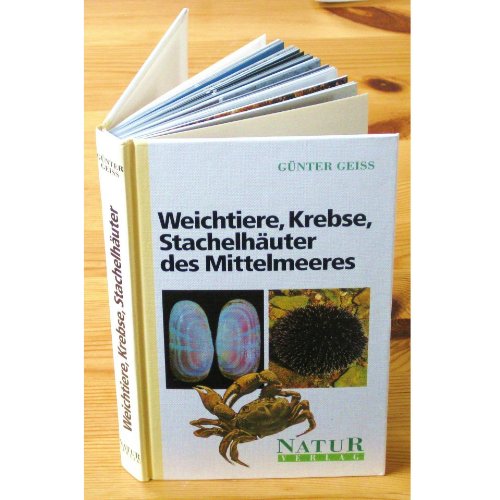 Weichtiere, Krebse, Stachelhäuter des Mittelmeeres