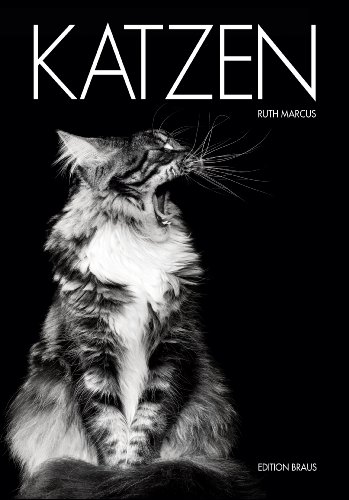 Imagen de archivo de Katzen a la venta por medimops