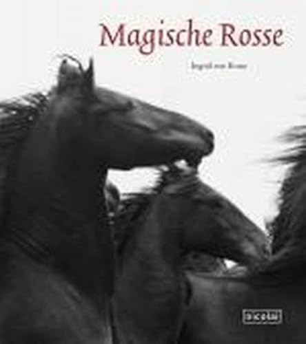 9783894793005: Magische Rosse