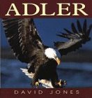 Adler . [Übers. aus dem Engl.: Beate Felten]