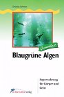 Beispielbild fr Blaugrne Algen Supernahrung fr Krper und Geist zum Verkauf von Antiquariat Hoffmann