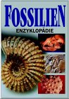 Beispielbild fr Fossilien-Enzyklopdie. zum Verkauf von Antiquariat Bernhardt