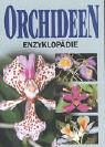 Imagen de archivo de Orchideen-Enzyklopdie a la venta por medimops