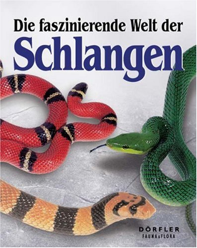 Stock image for Die faszinierende Welt der Schlangen for sale by medimops
