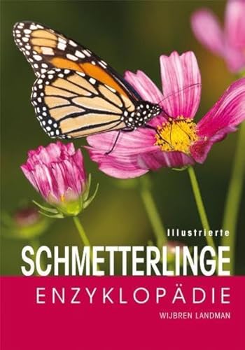 Stock image for Illustrierte Schmetterlinge-Enzyklopdie for sale by medimops