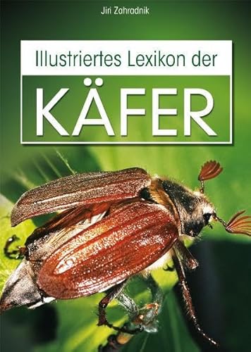 Stock image for Illustriertes Lexikon der Kfer for sale by medimops