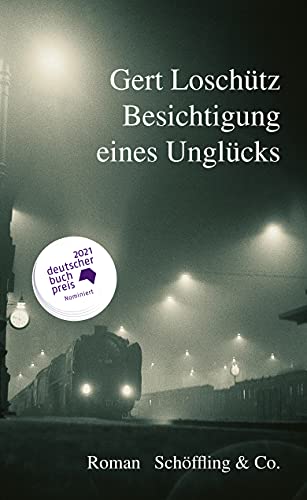 Imagen de archivo de Besichtigung eines Unglcks: Roman a la venta por medimops