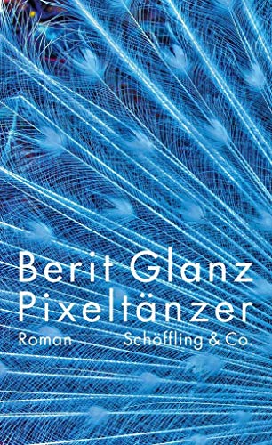 9783895611926: Pixeltnzer: Roman