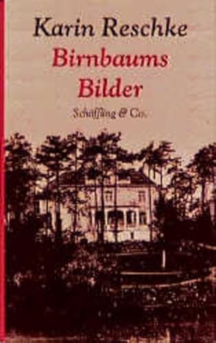 9783895612107: Birnbaums Bilder (German Edition)