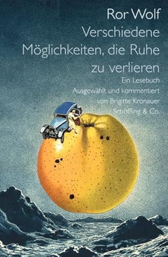 9783895613258: Verschiedene Mglichkeiten, die Ruhe zu verlieren: Ein Lesebuch