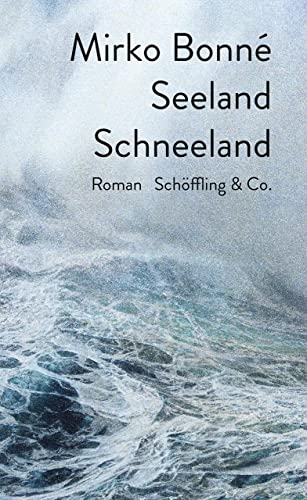 Stock image for Seeland Schneeland: Roman for sale by Ammareal