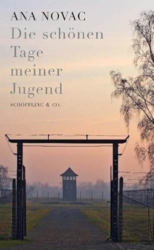 Stock image for Die sch?nen Tage meiner Jugend for sale by Reuseabook