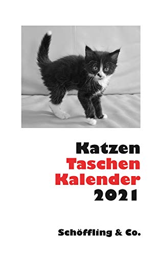 Beispielbild fr Katzen Taschenkalender 2021 zum Verkauf von medimops