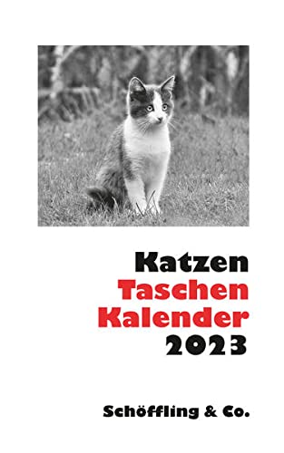 Beispielbild fr Katzen Taschenkalender 2023 zum Verkauf von medimops
