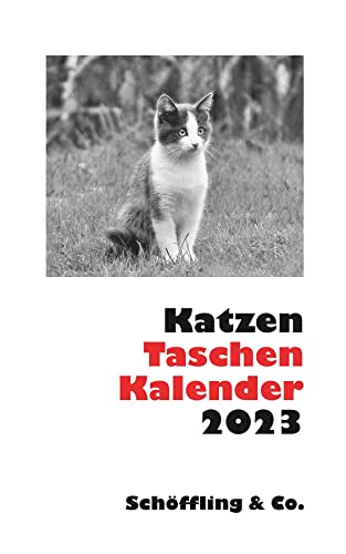 Stock image for Katzen Taschenkalender 2023 for sale by medimops