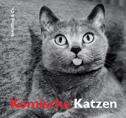 Imagen de archivo de Komische Katzen a la venta por Ammareal