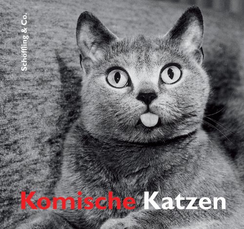 Komische Katzen. 1. Auflage.