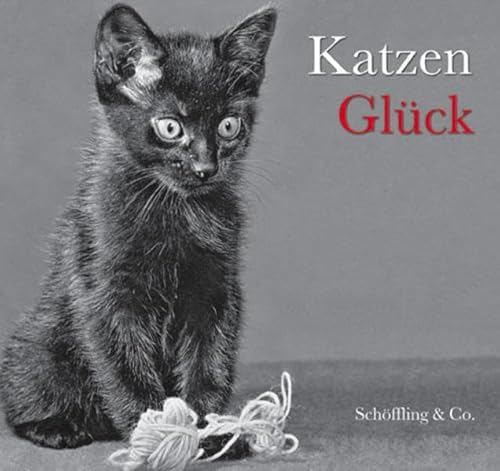 Stock image for Katzenglck for sale by Leserstrahl  (Preise inkl. MwSt.)