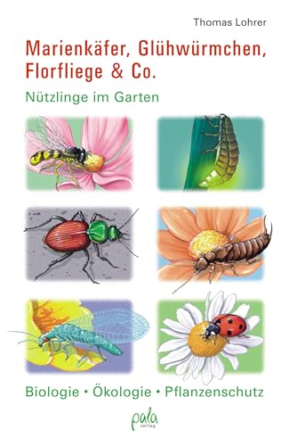 Stock image for Marienkfer, Glhwrmchen, Florfliege & Co: Ntzlinge im Garten Biologie, kologie, Pflanzenschutz for sale by medimops