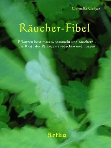 Beispielbild fr Rucher-Fibel zum Verkauf von Blackwell's