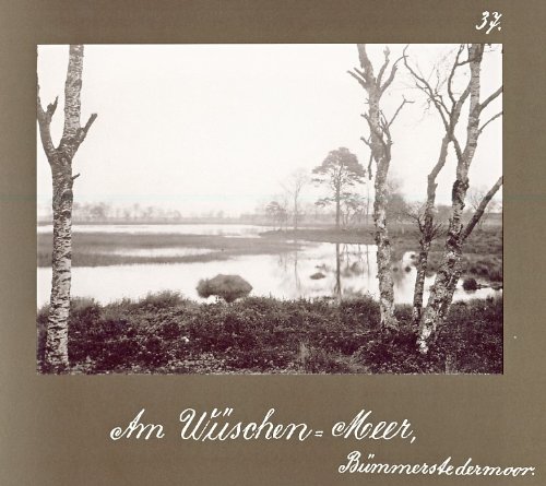Stock image for Aus Moor und Heide. Von Johann Duis for sale by medimops