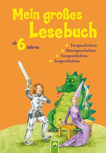 Beispielbild fr Mein groes Lesebuch ab 6 Jahren Tiergeschichten, Rittergeschichten, Feengeschichten, Zoogeschichten zum Verkauf von Buchpark